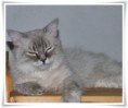 /album/benson/benson-2014-07-14-01-jpg/